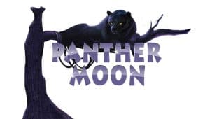 Petualangan Malam Misterius di Hutan Panther Moon
