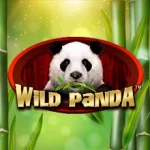 Wild Panda Spadegaming, Sensasi Main Seru!