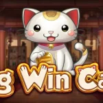 Serunya Big Win Cat, Slot Imut Penuh Kejutan